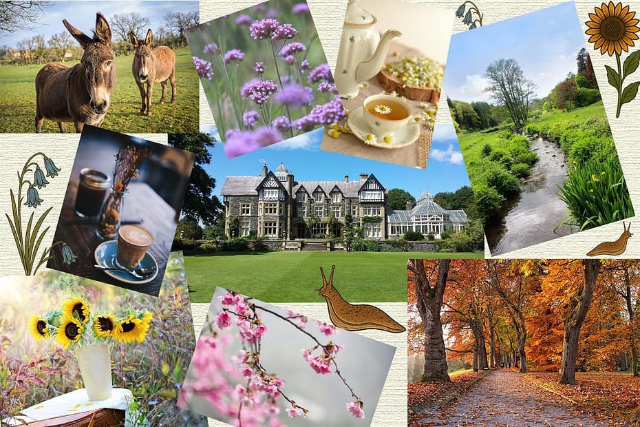 A cosy vision board collage showing Donkeys, wildflowers, chamomile tea, coffee, a grand country house with gardens, a peaceful stream, sunflowers, blossom, and an autumn woodland path, with small illustrations of a slug, sunflower, and bluebell — representing nature, calm, and country dreams.